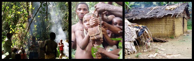 Peuple premier de la forêt équatoriale gabonaise, dépositaire d'un savoir intimement lié à la nature