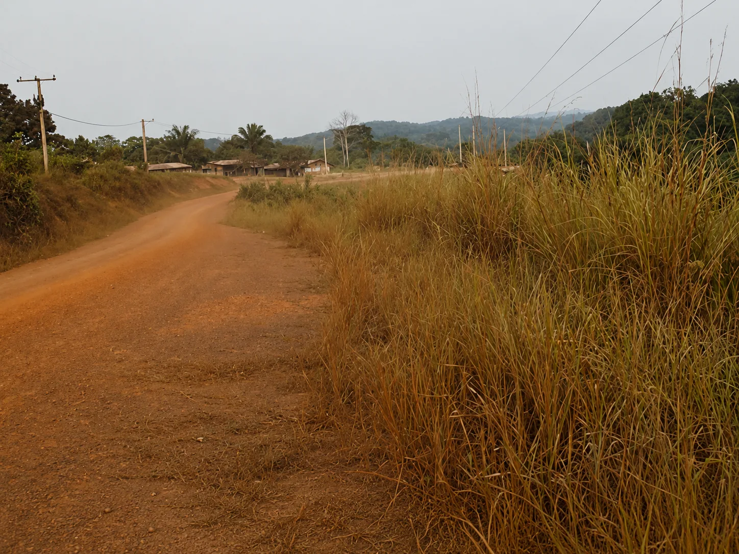 Une route de brousse menant à un village, sous un ciel voilé