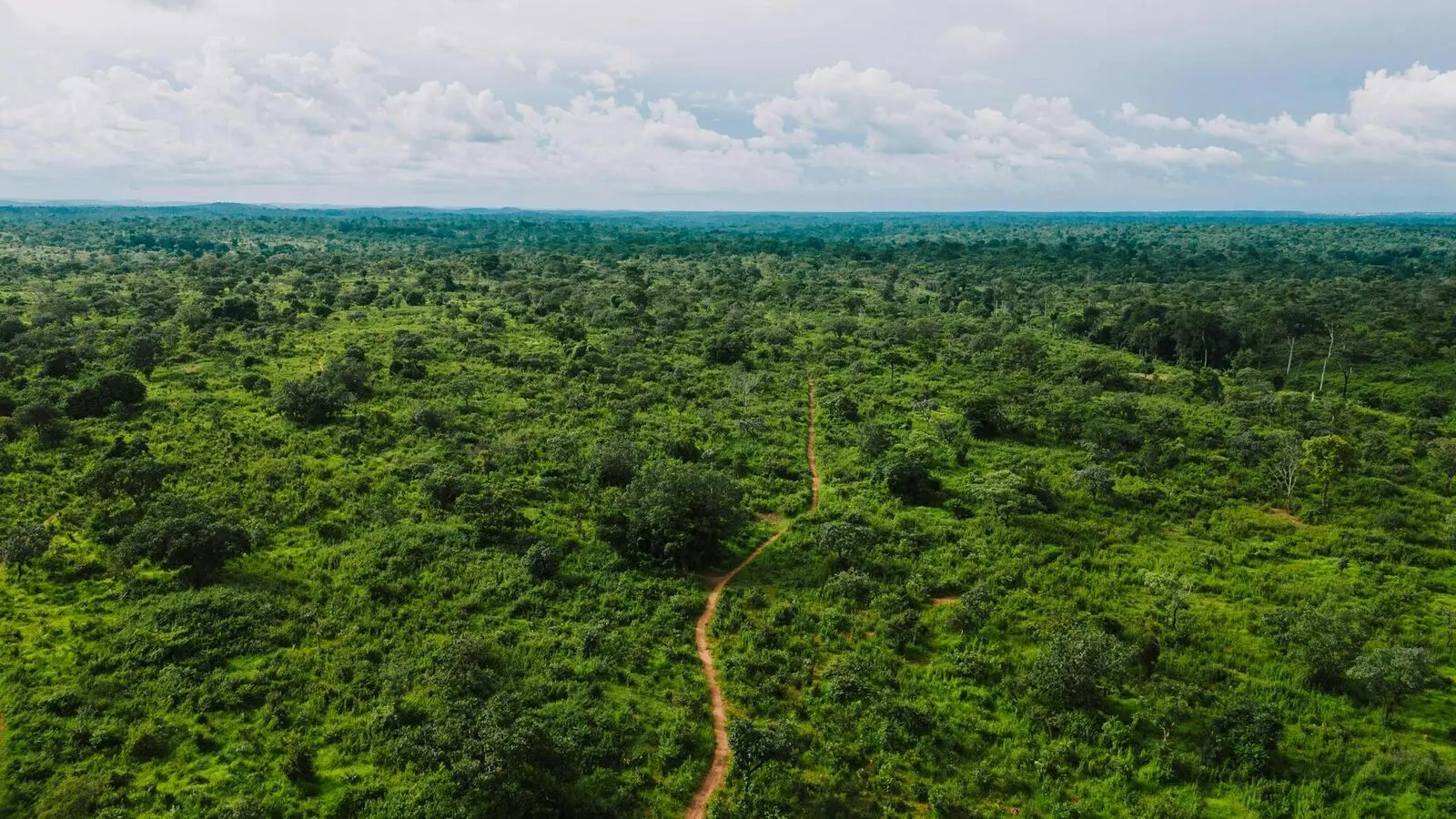 Forêt équatoriale, terre des peuples premiers